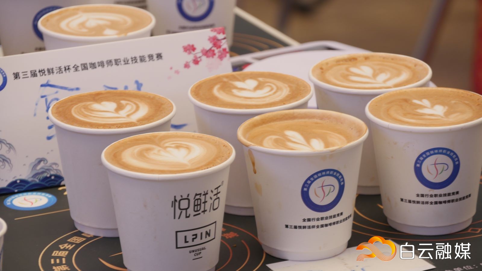 白云融媒：咖啡飘香，高手云集！这场国家级赛事在白云开赛（转载）